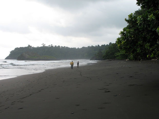 Zona Sur de Bioko, en la playa de Moaba se realizan campañas de seguimiento de desove de tortugas Laud y Carey. Es característicos su color negruzco debido al origen volcánico.