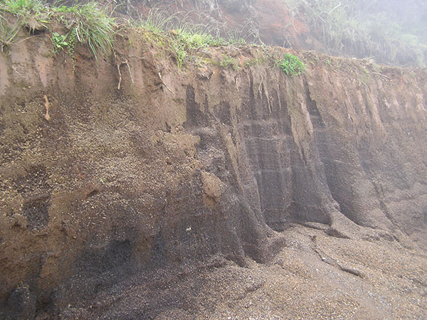 Suelos volcánicos de la isla de Bioko. En las zonas altas del Basilé se aprecia el origen volcánico de la isla. El color de la arena de las playas de la isla también es característico