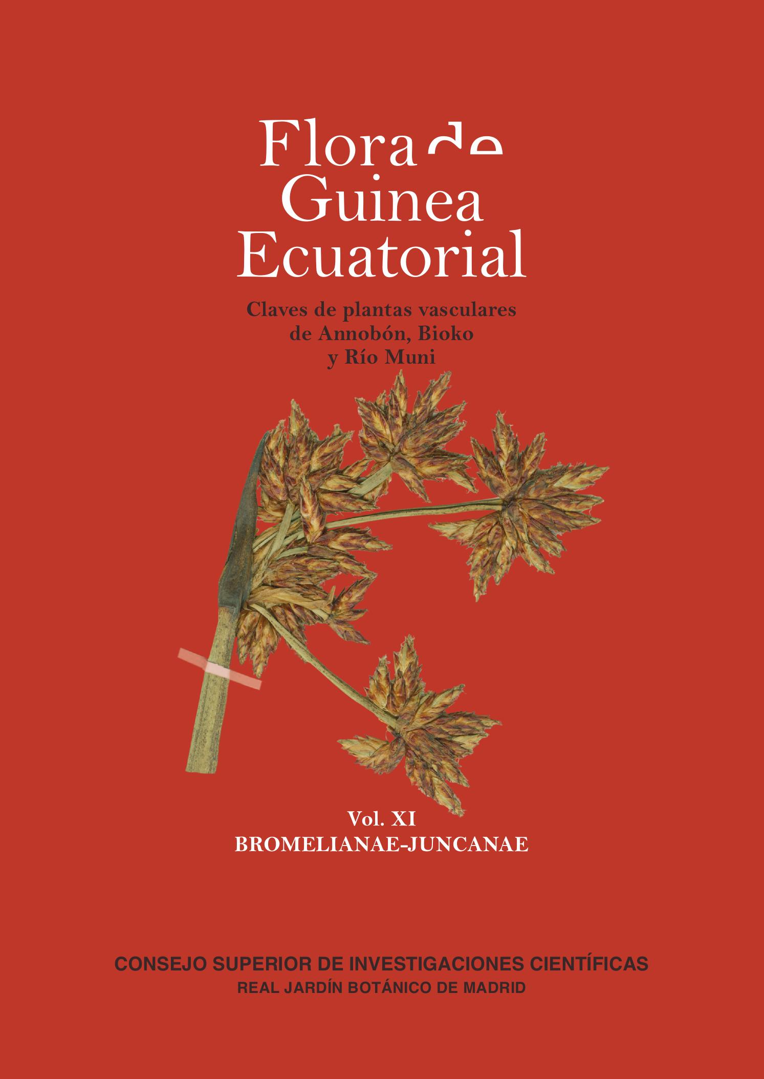 Publicado el primero de los 3 volúmenes de monocotiledóneas de Guinea Ecuatorial